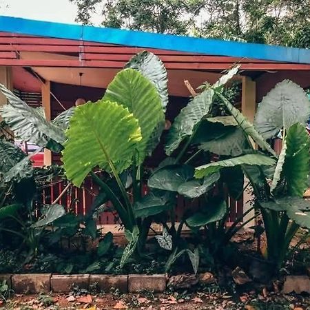 Song Pee Nong Resort Phattalung Phatthalung Eksteriør billede