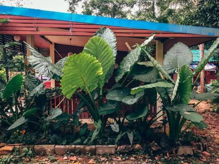 Song Pee Nong Resort Phattalung Phatthalung Eksteriør billede
